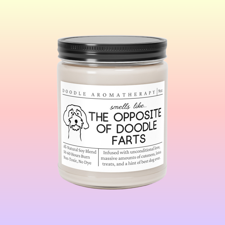 Doodle Candle - Smells Like The Opposite Of Doodle Farts