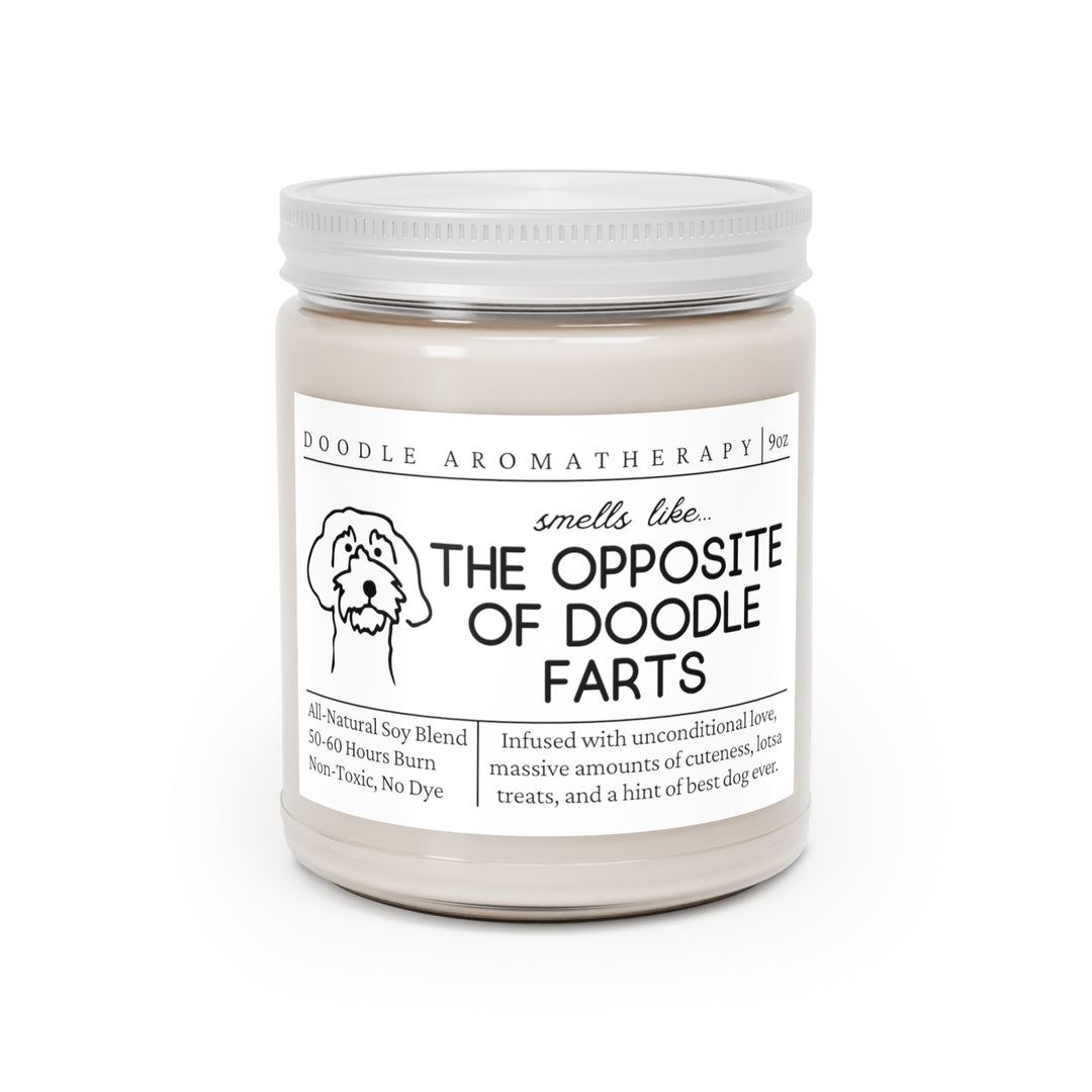 Doodle Candle - Smells Like The Opposite Of Doodle Farts