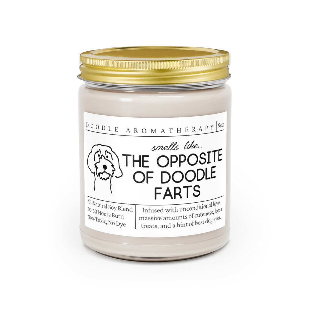 Doodle Candle - Smells Like The Opposite Of Doodle Farts