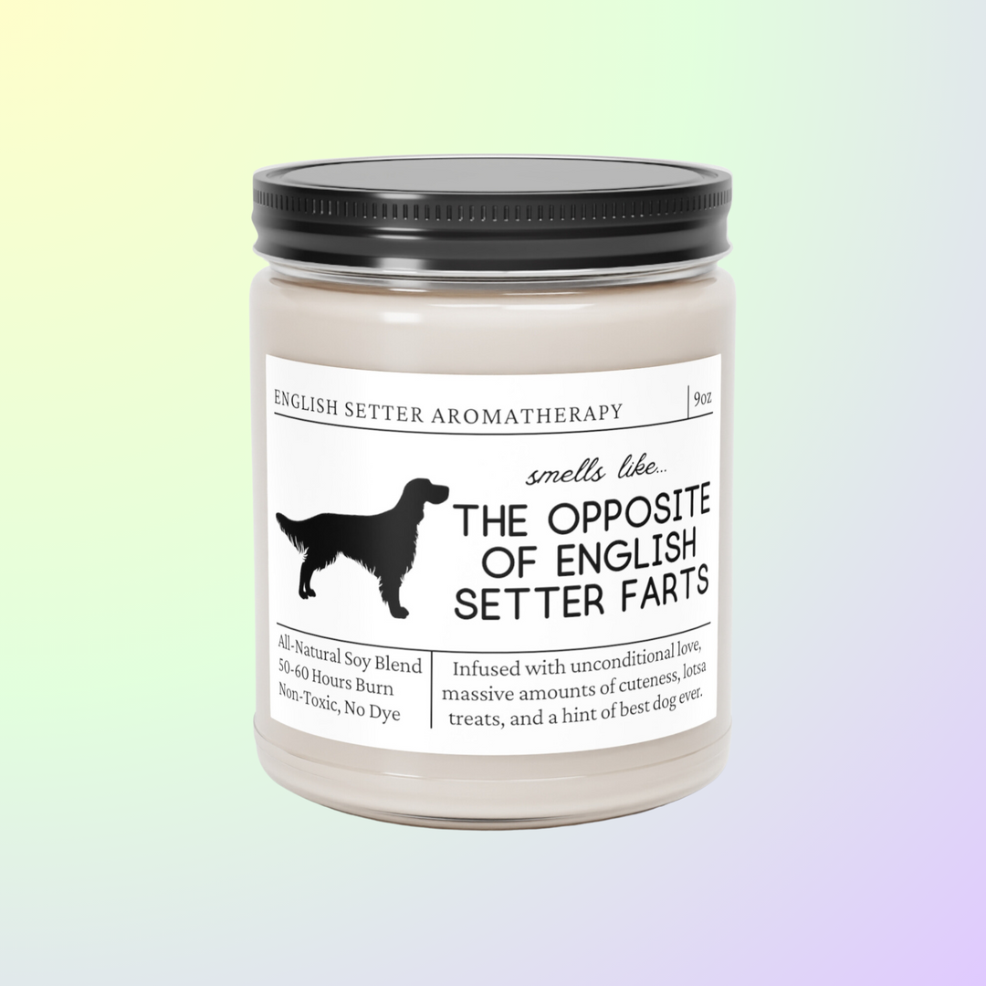 English Setter Candle - Smells Like The Opposite Of English Setter Farts