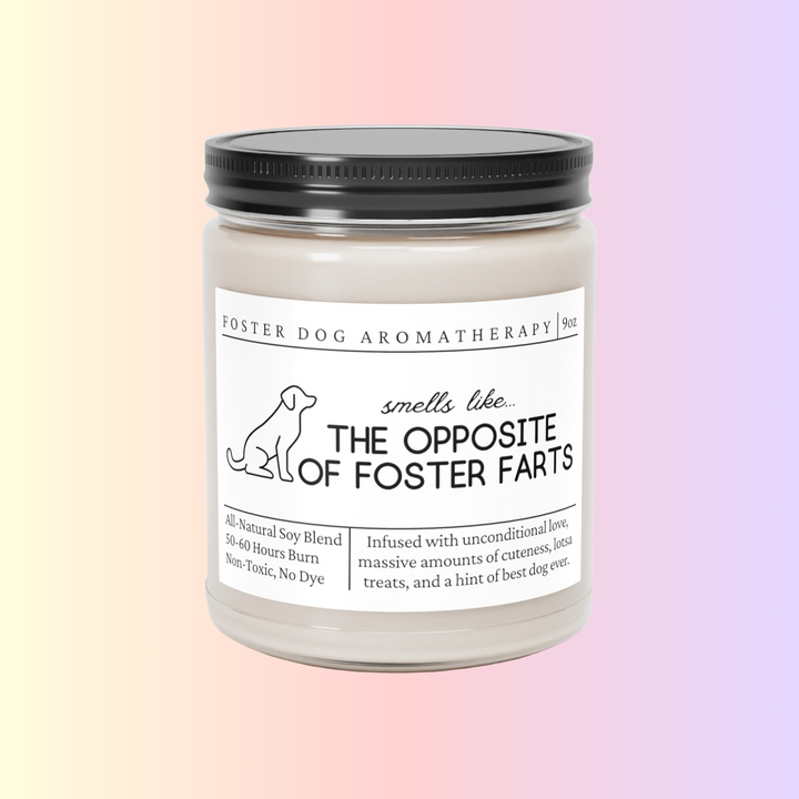 Foster Dog Candle - Smells Like The Opposite Of Foster Farts