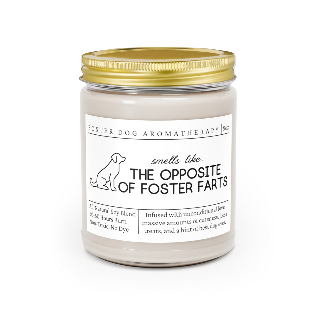 Foster Dog Candle - Smells Like The Opposite Of Foster Farts