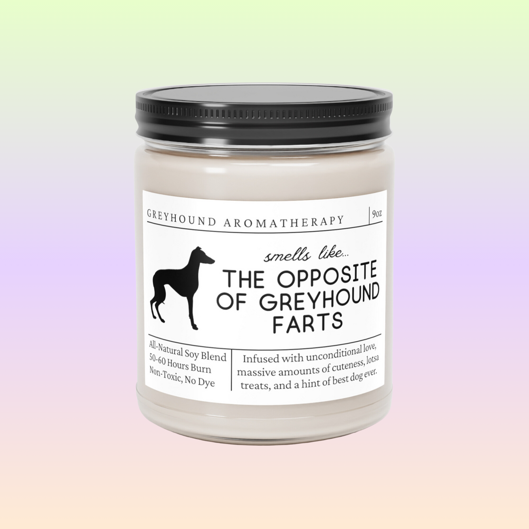 Greyhound Candle - Smells Like The Opposite Of Greyhound Farts