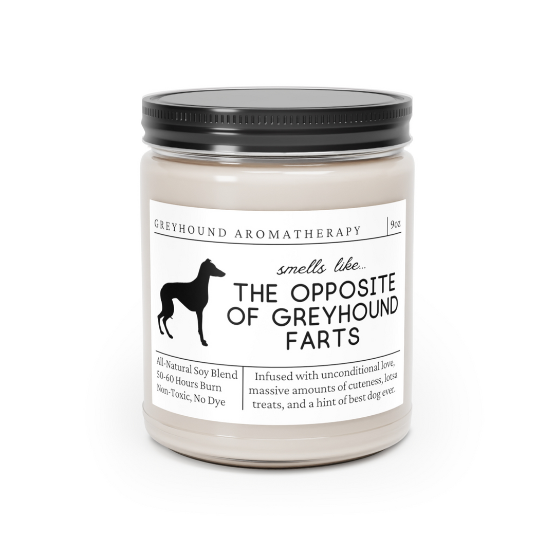 Greyhound Candle - Smells Like The Opposite Of Greyhound Farts