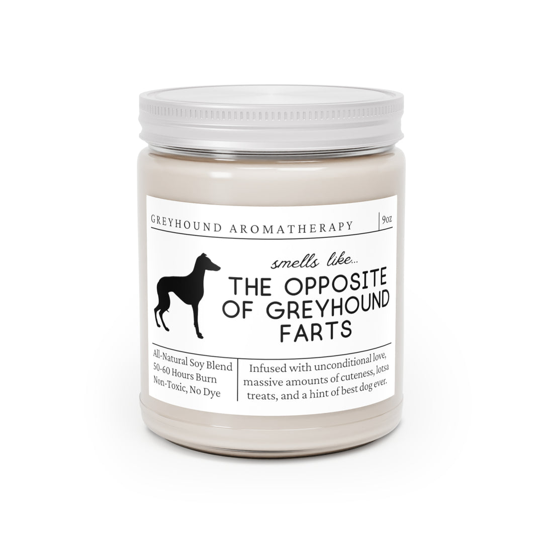 Greyhound Candle - Smells Like The Opposite Of Greyhound Farts