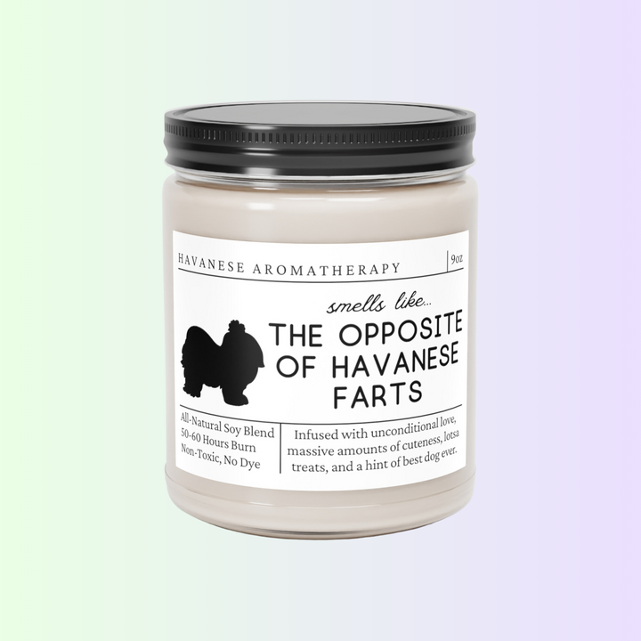 Havanese Candle - Smells Like The Opposite Of Havanese Farts