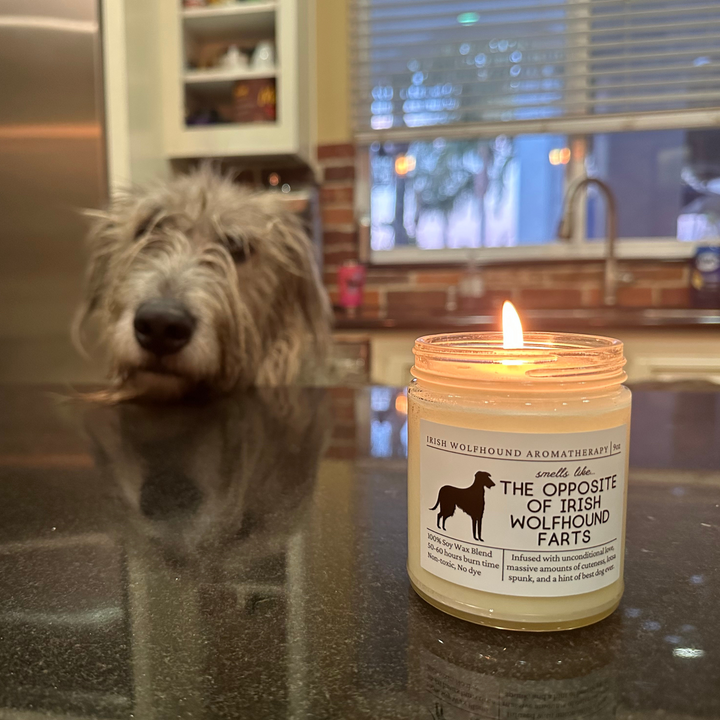 Irish Wolfhound Candle - Smells Like The Opposite Of Irish Wolfhound Farts