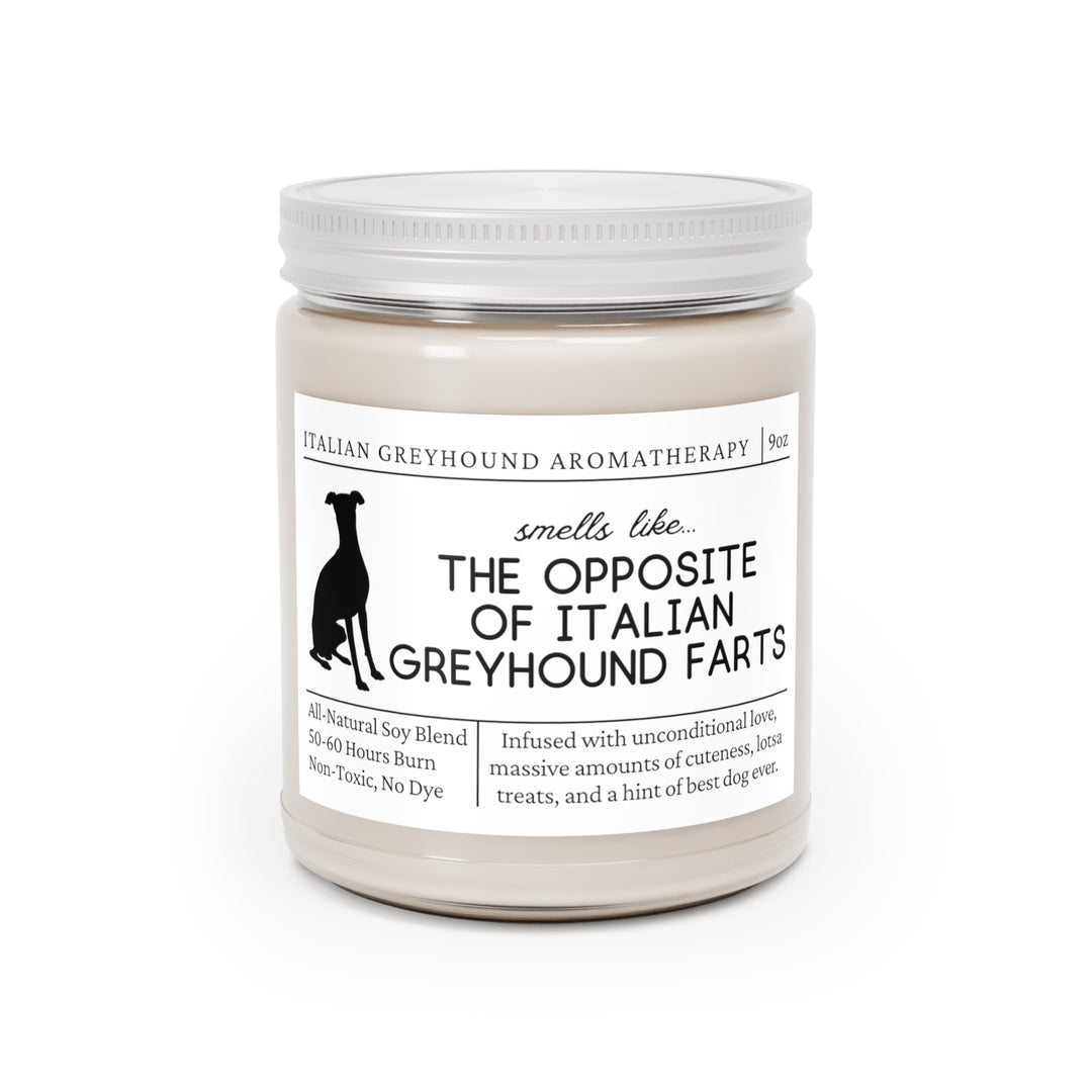 Italian Greyhound Candle - Smells Like The Opposite Of Italian Greyhound Farts