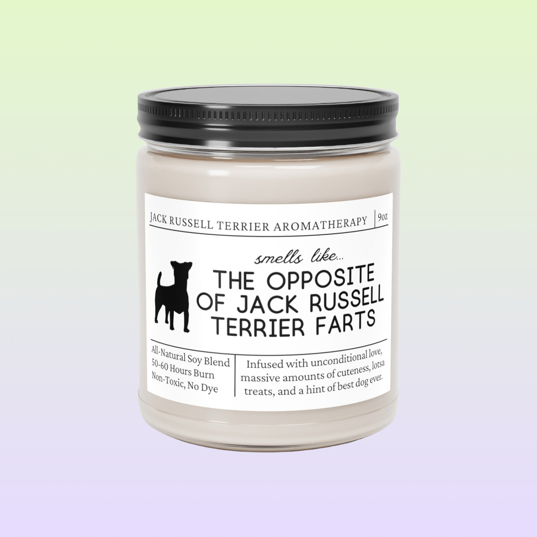 Jack Russell Terrier Candle - Smells Like The Opposite Of Jack Russell Terrier Farts