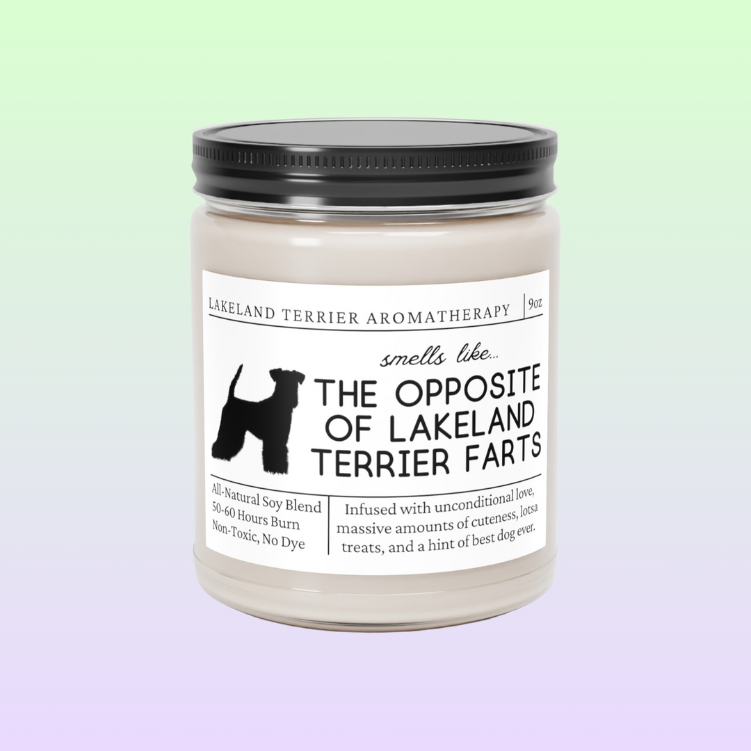 Lakeland Terrier Candle - Smells Like The Opposite Of Lakeland Terrier Farts