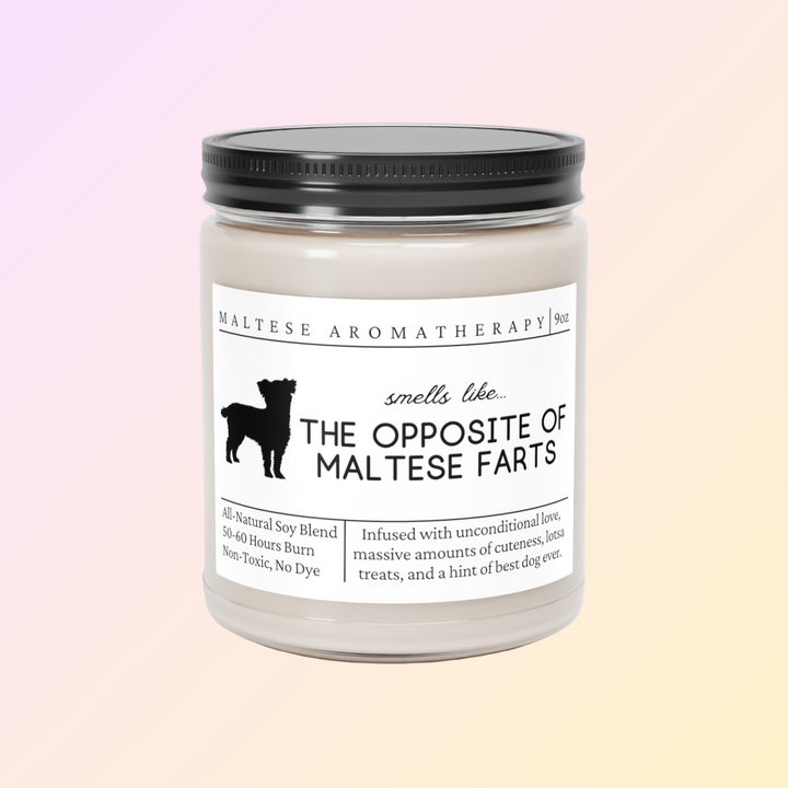 Maltese Candle - Smells Like The Opposite Of Maltese Farts