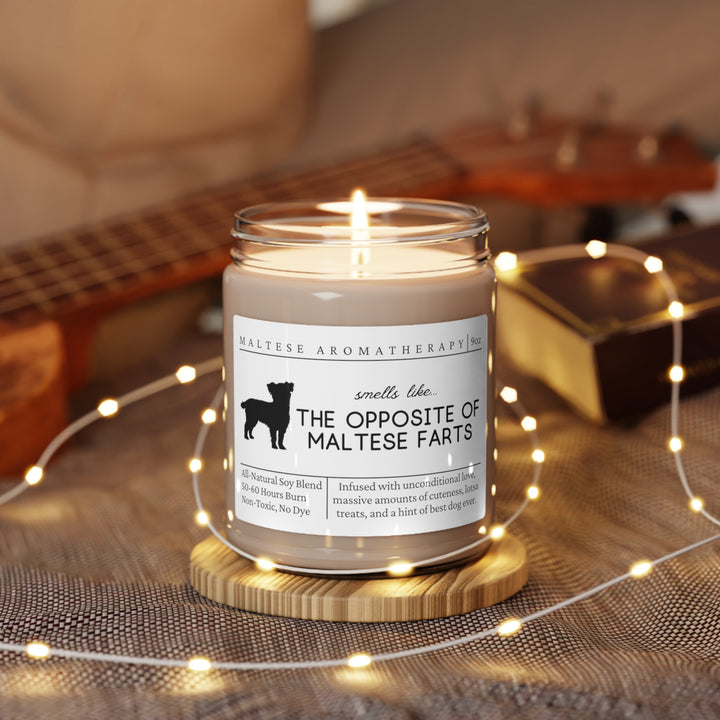 Maltese Candle - Smells Like The Opposite Of Maltese Farts