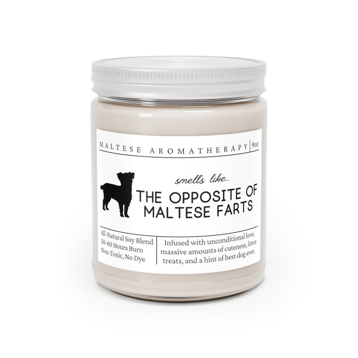 Maltese Candle - Smells Like The Opposite Of Maltese Farts