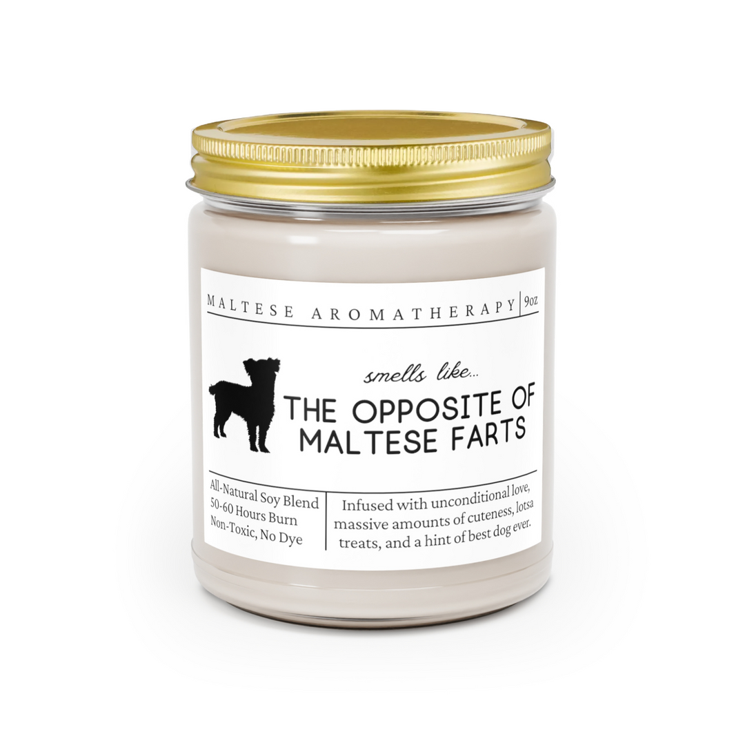 Maltese Candle - Smells Like The Opposite Of Maltese Farts