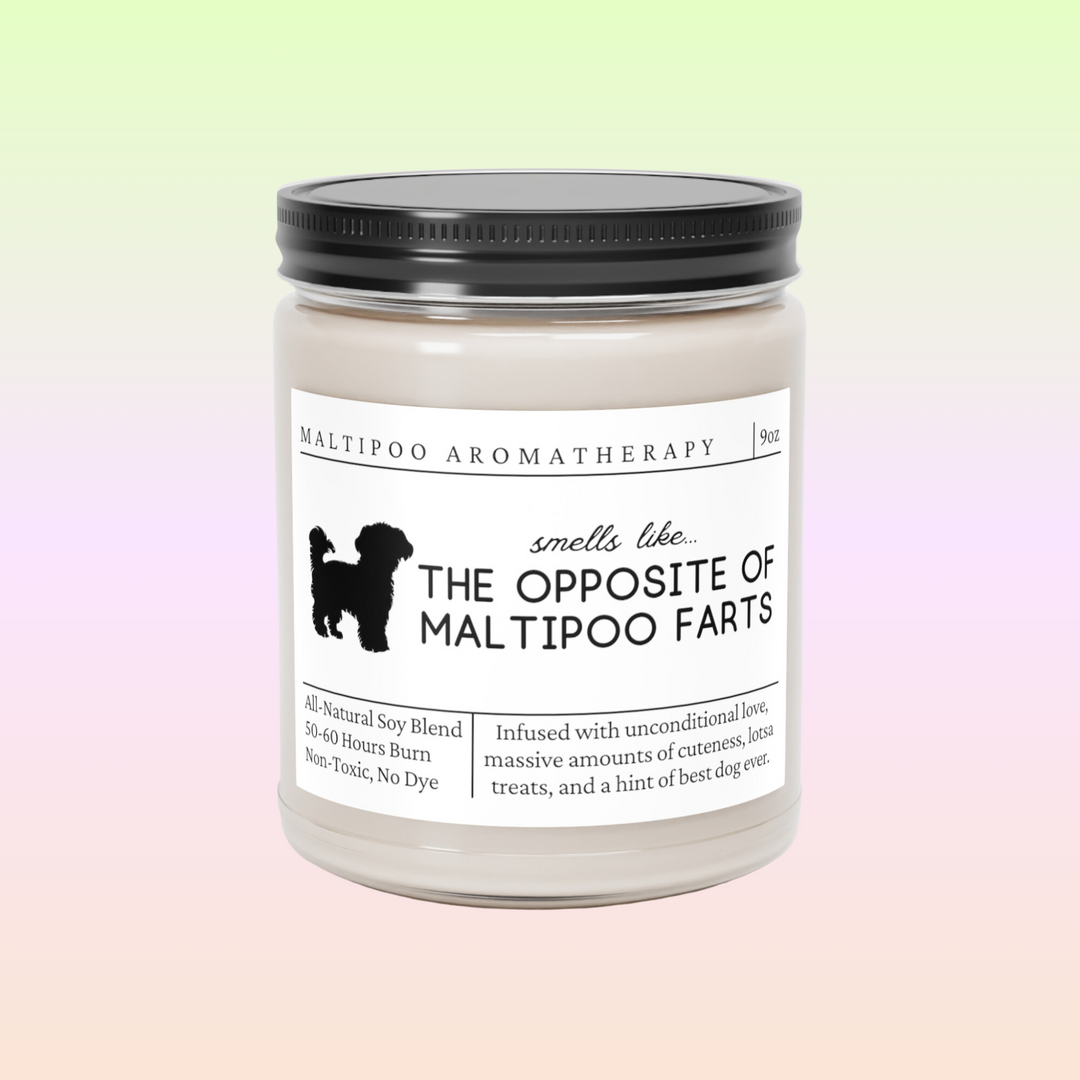 Maltipoo Candle - Smells Like The Opposite Of Maltipoo Farts