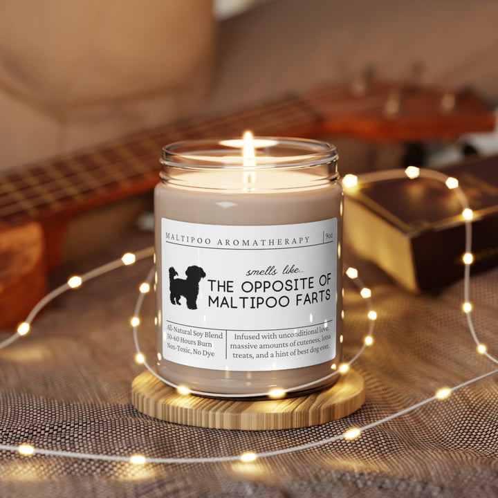 Maltipoo Candle - Smells Like The Opposite Of Maltipoo Farts