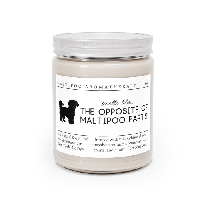 Maltipoo Candle - Smells Like The Opposite Of Maltipoo Farts