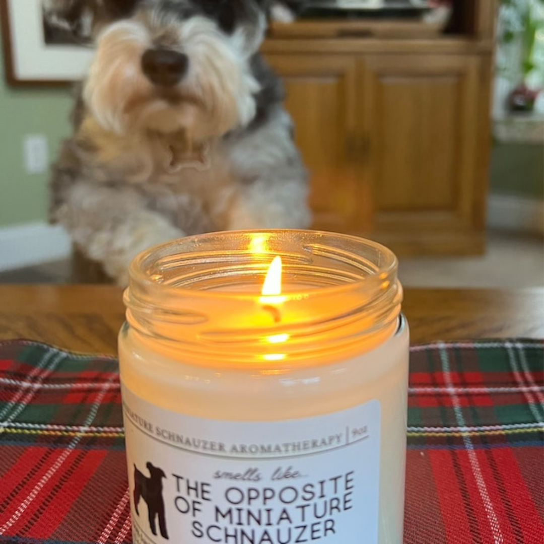 Miniature Schnauzer Candle - Smells Like The Opposite Of Miniature Schnauzer Farts