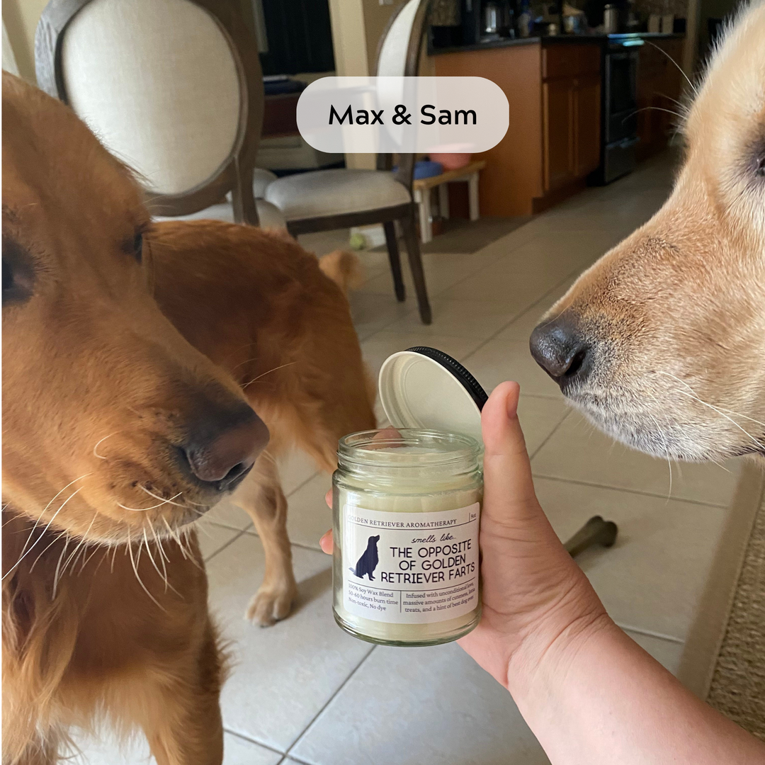 Golden Retriever Candle - Smells Like The Opposite Of Golden Retriever Farts