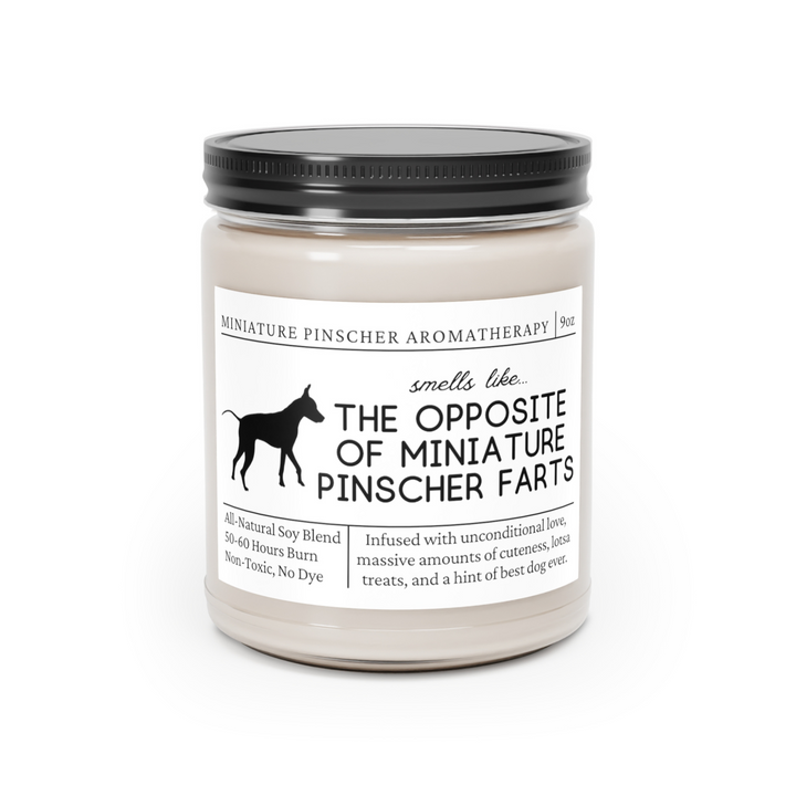 Miniature Pinscher Candle - Smells Like The Opposite Of Miniature Pinscher Farts