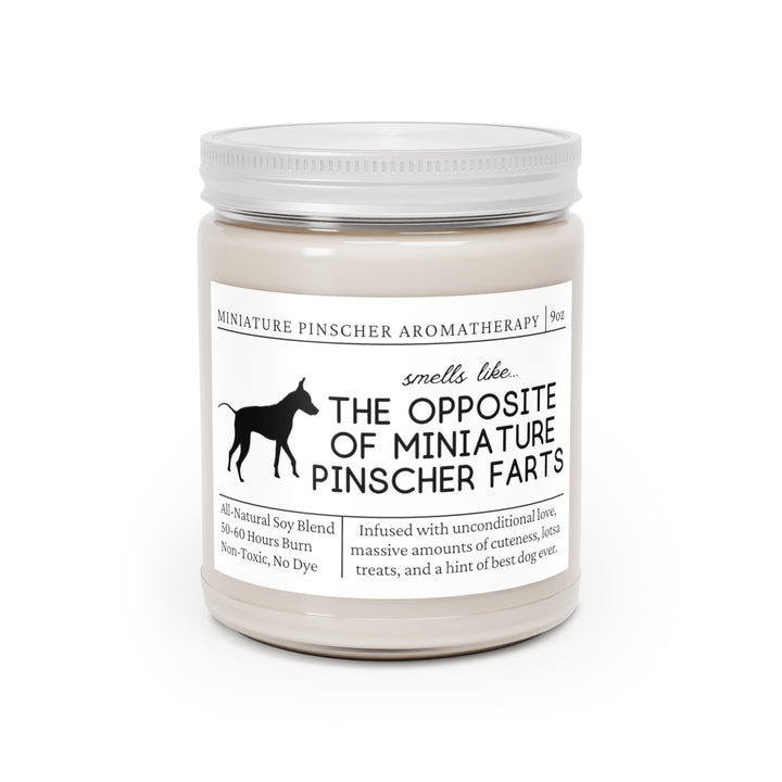 Miniature Pinscher Candle - Smells Like The Opposite Of Miniature Pinscher Farts