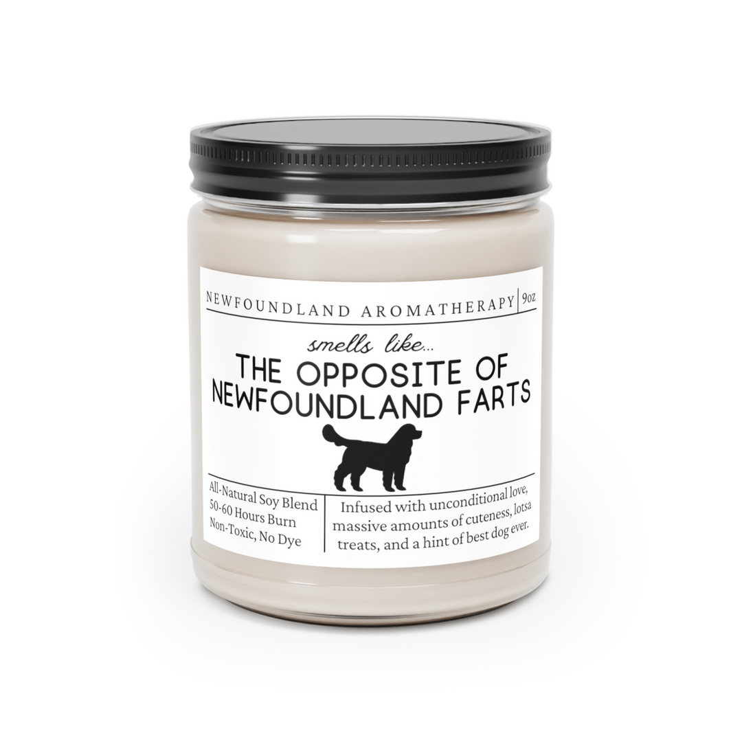 Newfoundland Candle - Smells Like The Opposite Of Newfoundland Farts