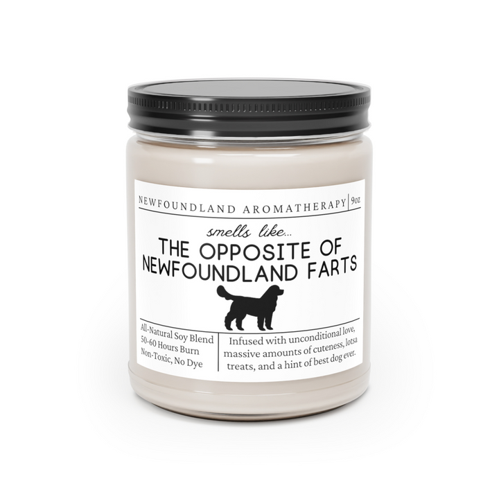 Newfoundland Candle - Smells Like The Opposite Of Newfoundland Farts