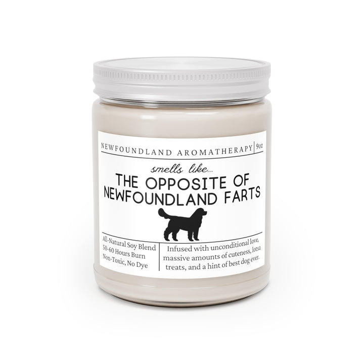 Newfoundland Candle - Smells Like The Opposite Of Newfoundland Farts