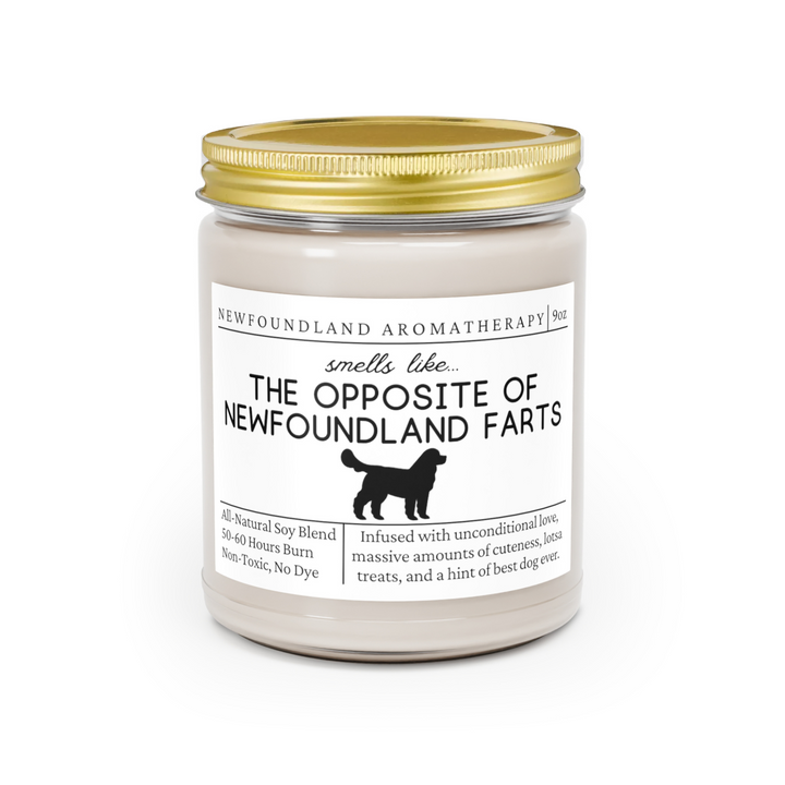 Newfoundland Candle - Smells Like The Opposite Of Newfoundland Farts