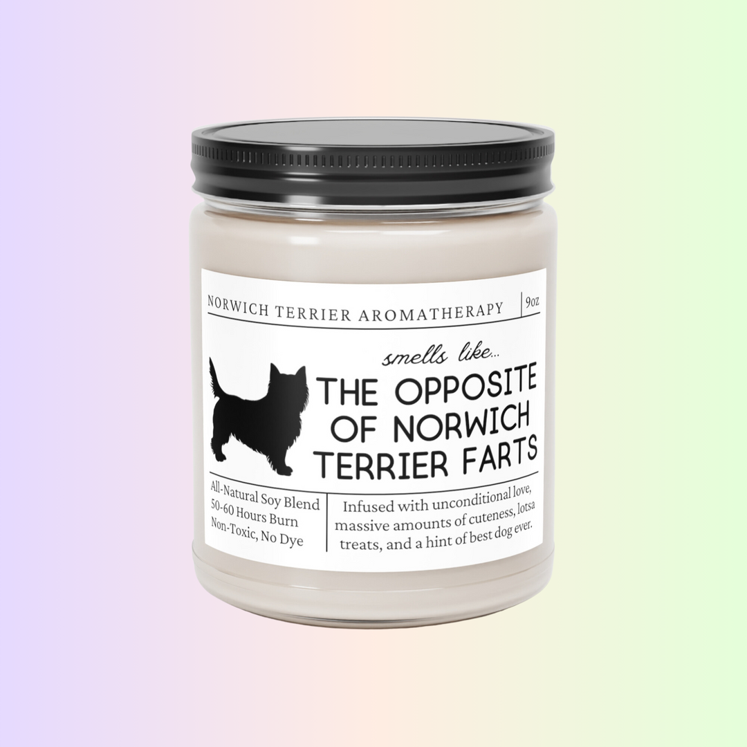 Norwich Terrier Candle - Smells Like The Opposite Of Norwich Terrier Farts