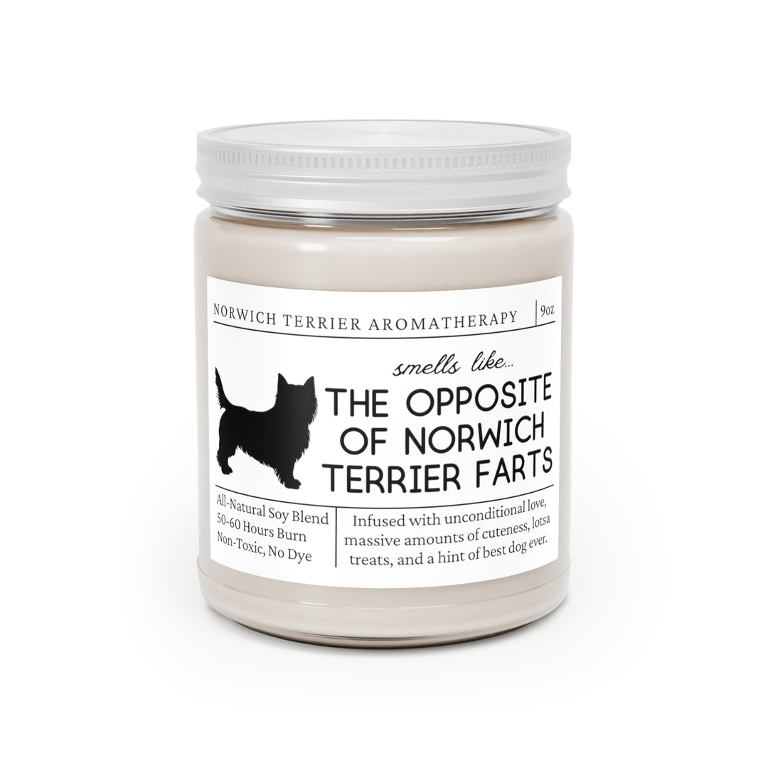 Norwich Terrier Candle - Smells Like The Opposite Of Norwich Terrier Farts