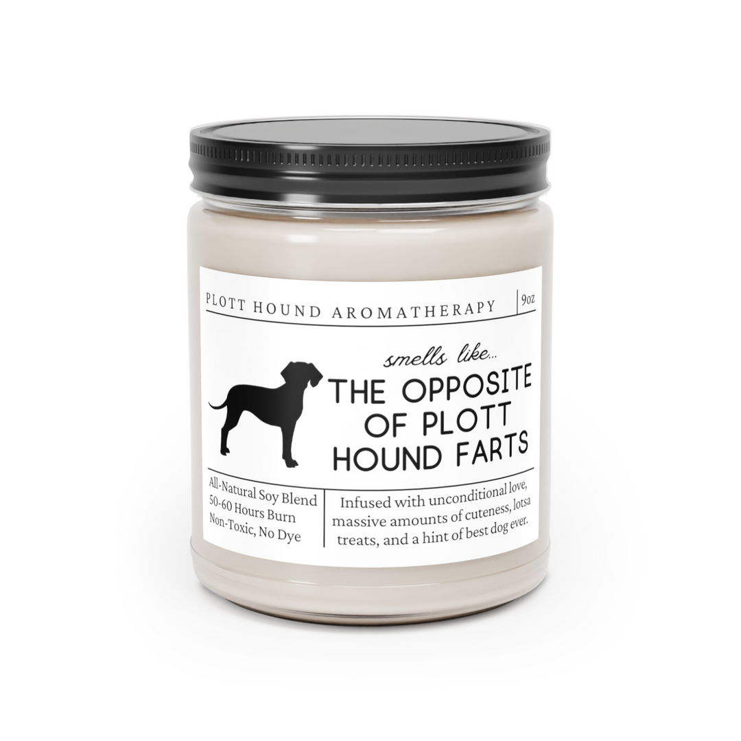 Plott Hound Candle - Smells Like The Opposite Of Plott Hound Farts