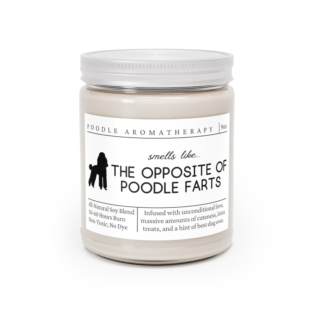 Poodle Candle - Smells Like The Opposite Of Poodle Farts