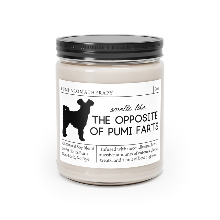 Pumi Candle - Smells Like The Opposite Of Pumi Farts