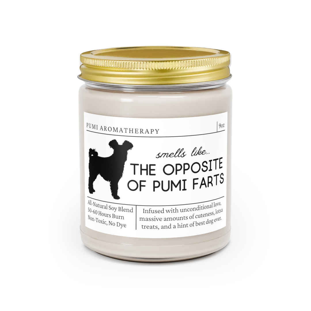 Pumi Candle - Smells Like The Opposite Of Pumi Farts