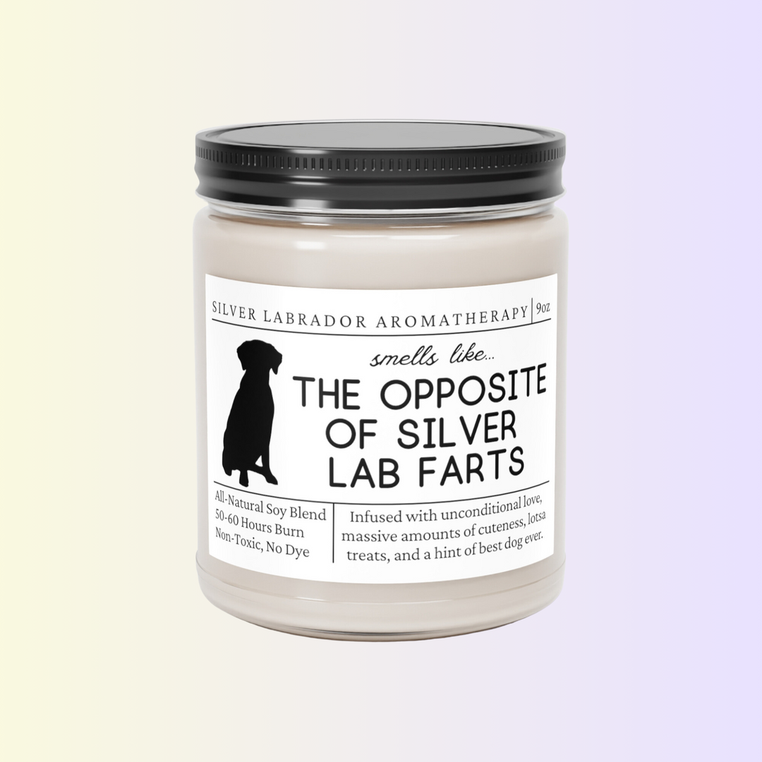 Silver Lab Candle - Smells Like The Opposite Of Silver Lab Farts