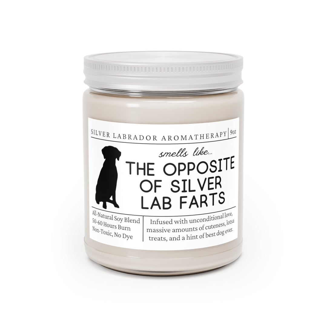 Silver Lab Candle - Smells Like The Opposite Of Silver Lab Farts