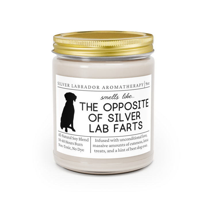 Silver Lab Candle - Smells Like The Opposite Of Silver Lab Farts