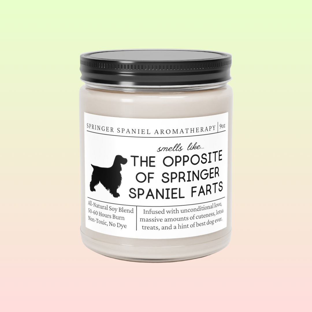 Springer Spaniel Candle - Smells Like The Opposite Of Springer Spaniel Farts