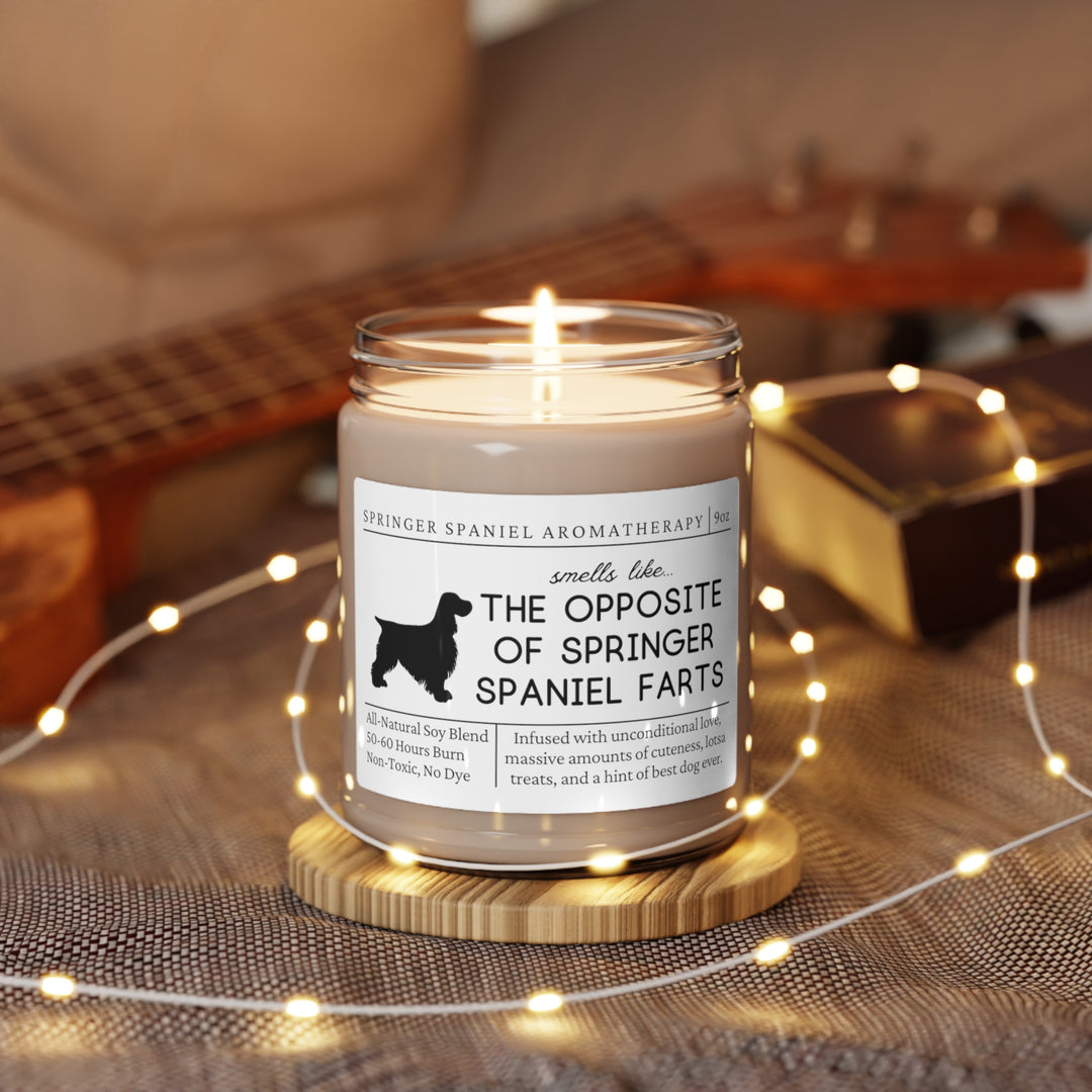 Springer Spaniel Candle - Smells Like The Opposite Of Springer Spaniel Farts