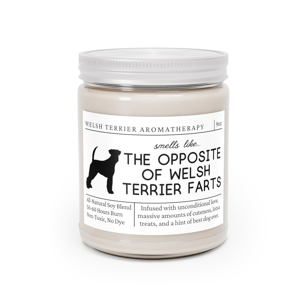 Welsh Terrier Candle - Smells Like The Opposite Of Welsh Terrier Farts