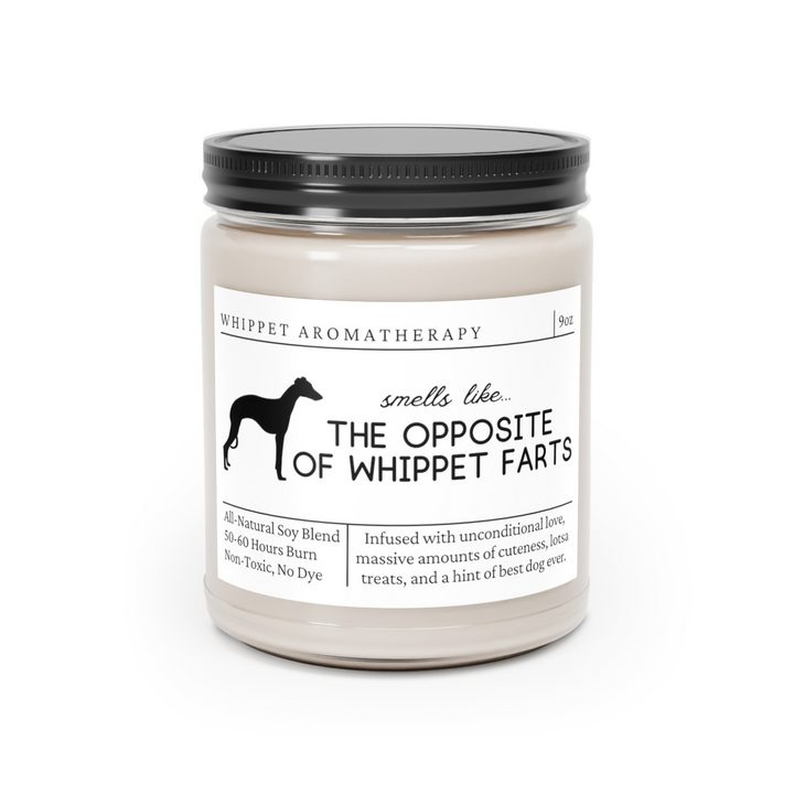 Whippet Candle - Smells Like The Opposite Of Whippet Farts