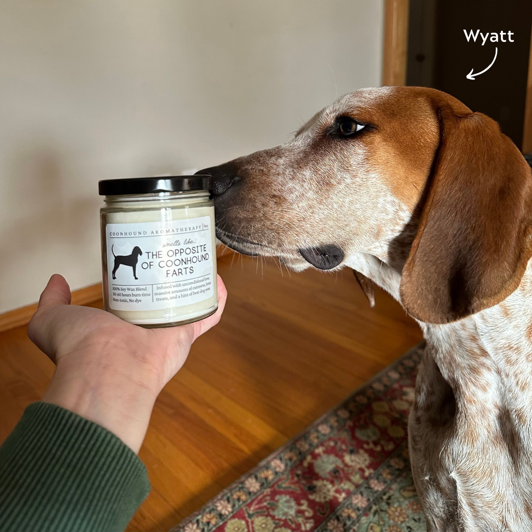 Coonhound Candle - Smells Like The Opposite Of Coonhound Farts