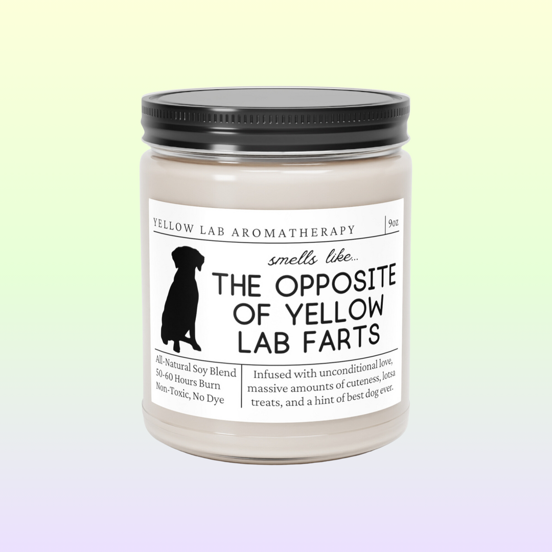 Yellow Lab Candle - Smells Like The Opposite Of Yellow Lab Farts