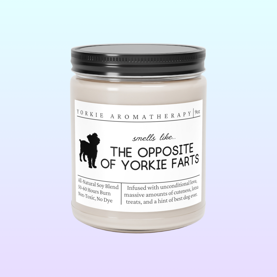 Yorkie Candle - Smells Like The Opposite Of Yorkie Farts