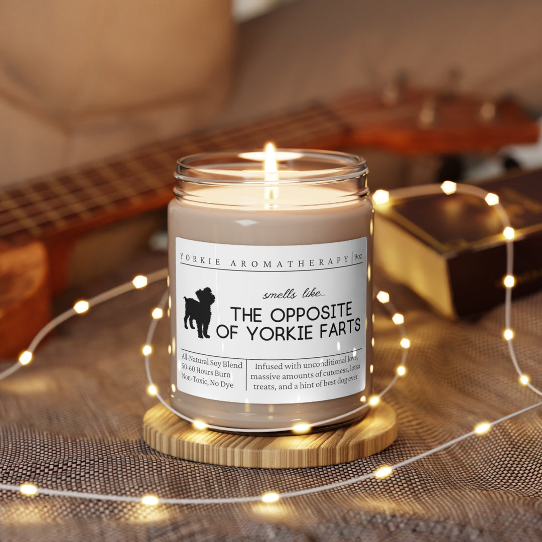 Yorkie Candle - Smells Like The Opposite Of Yorkie Farts