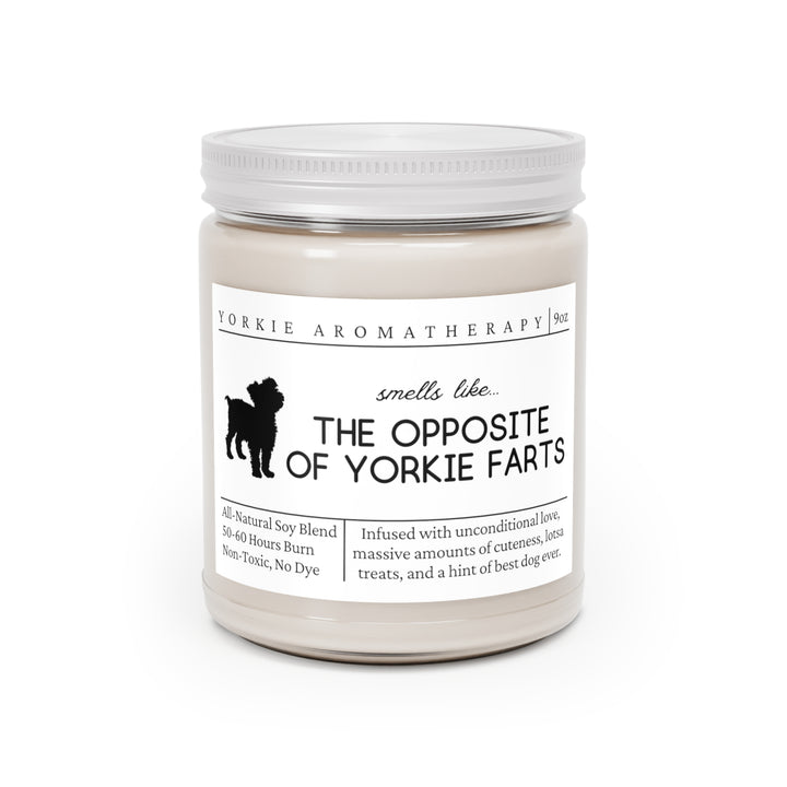 Yorkie Candle - Smells Like The Opposite Of Yorkie Farts